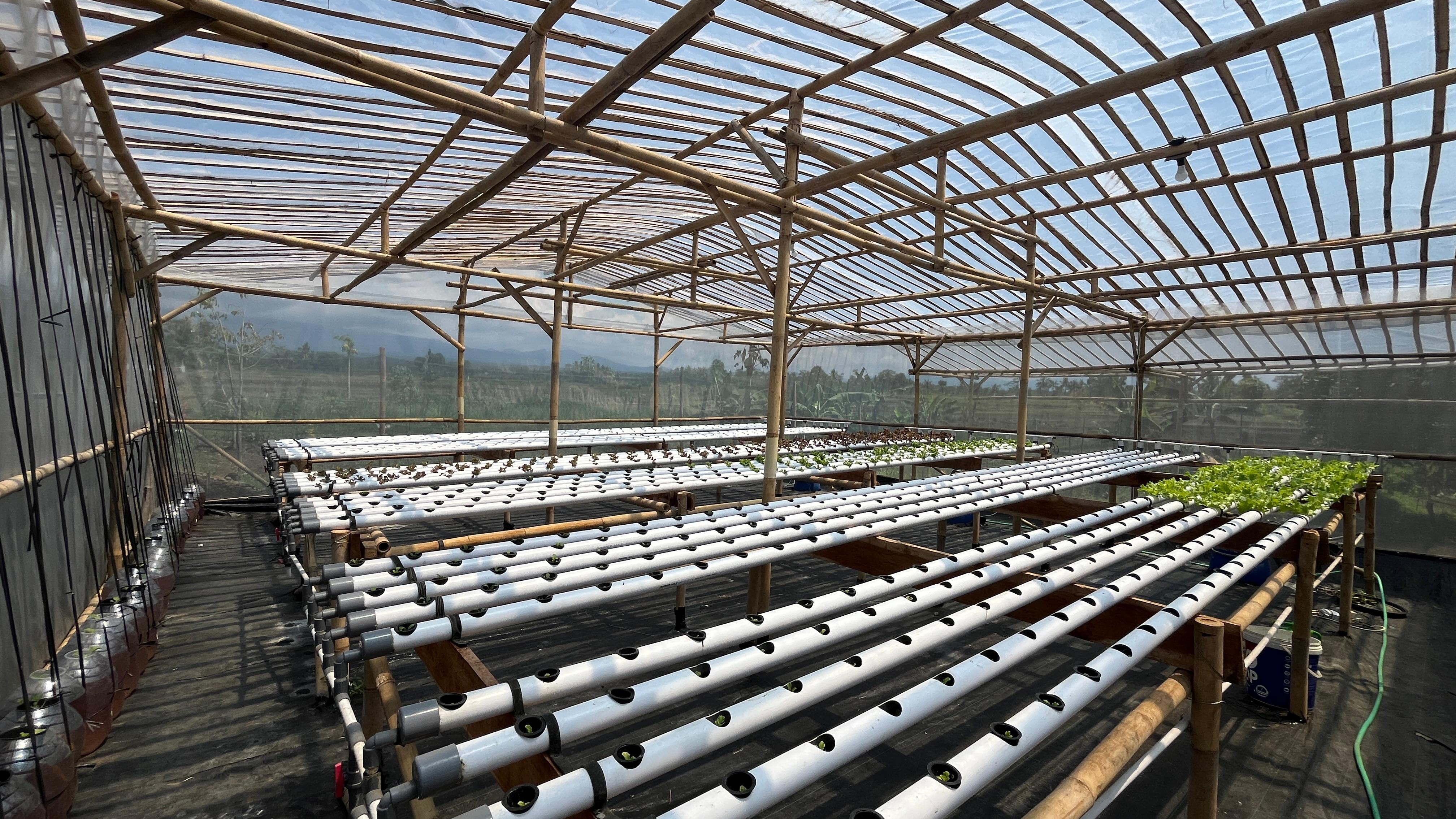 Rangka bambu dan instalasi NFT greenhouse