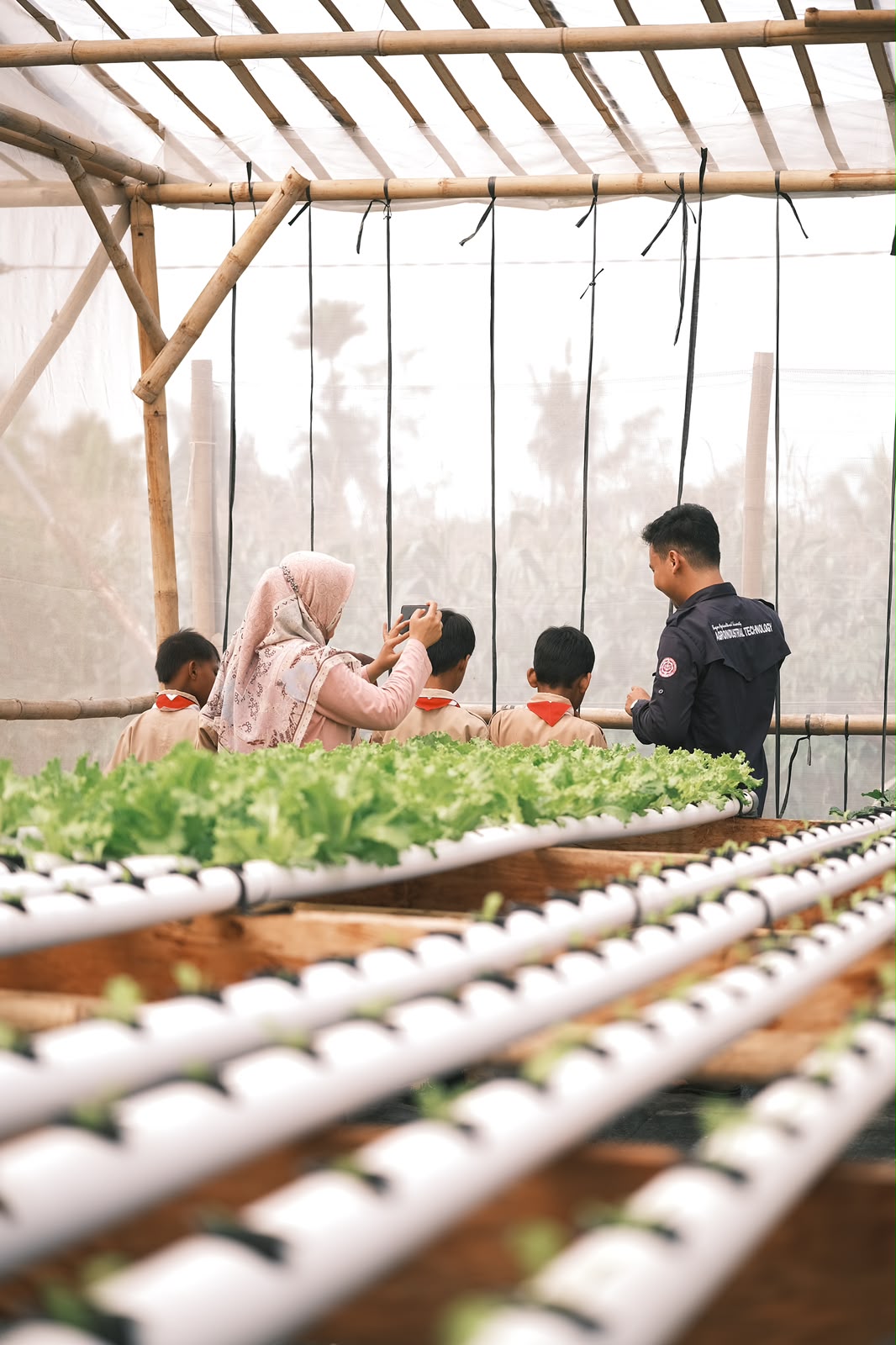 Suasana tur di lorong greenhouse