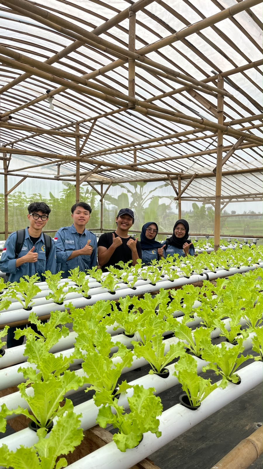 Kelompok mahasiswa magang di greenhouse Dhawuh Bumi