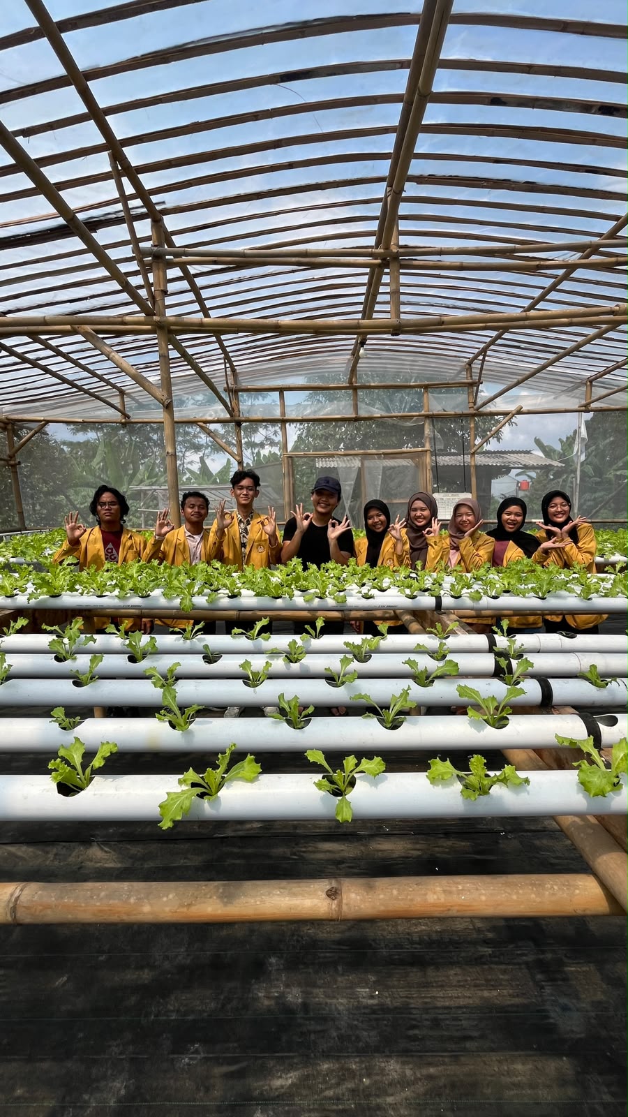 Mahasiswa peneliti di greenhouse Dhawuh Bumi