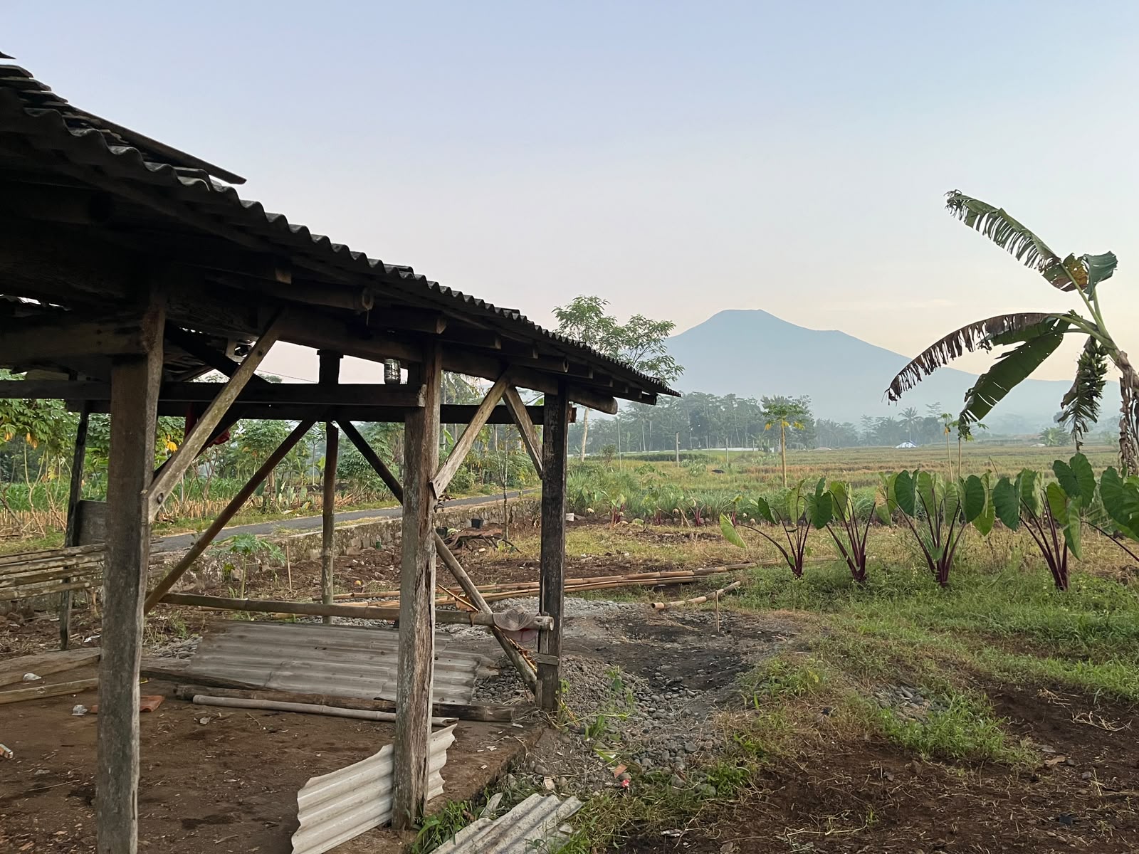Lahan kosong sebelum greenhouse dibangun