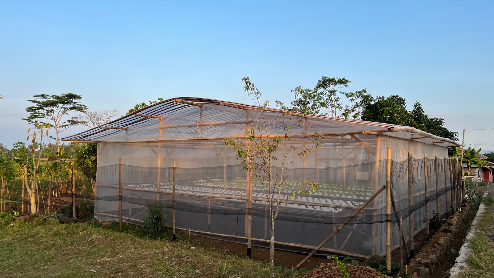 Greenhouse bambu berdiri lengkap dengan instalasi NFT