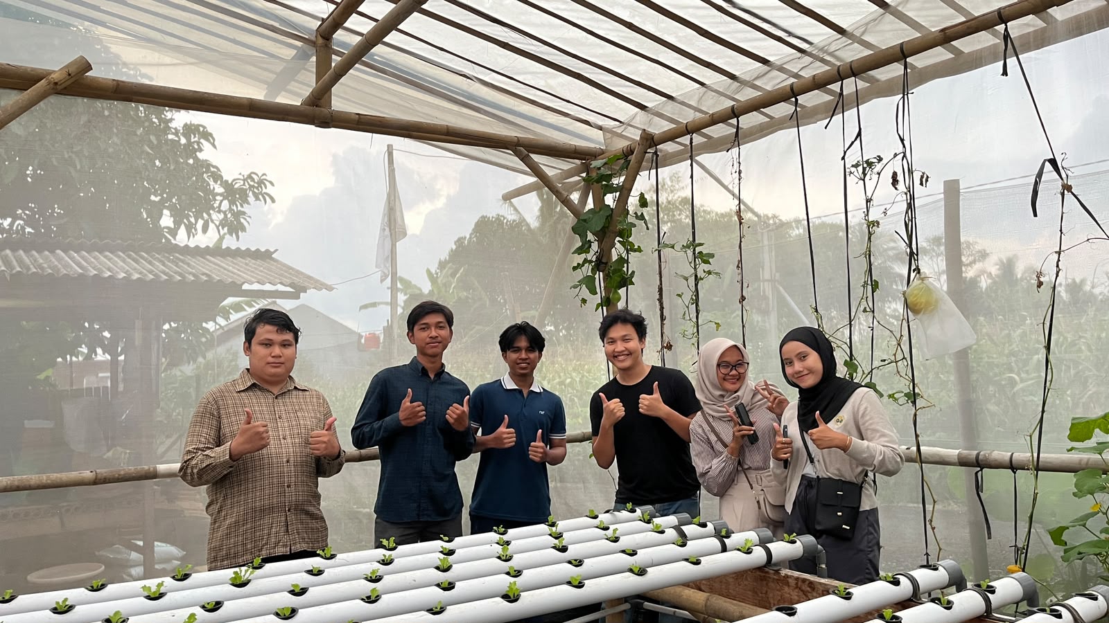 Enam mahasiswa berdiri di belakang talang bibit selada