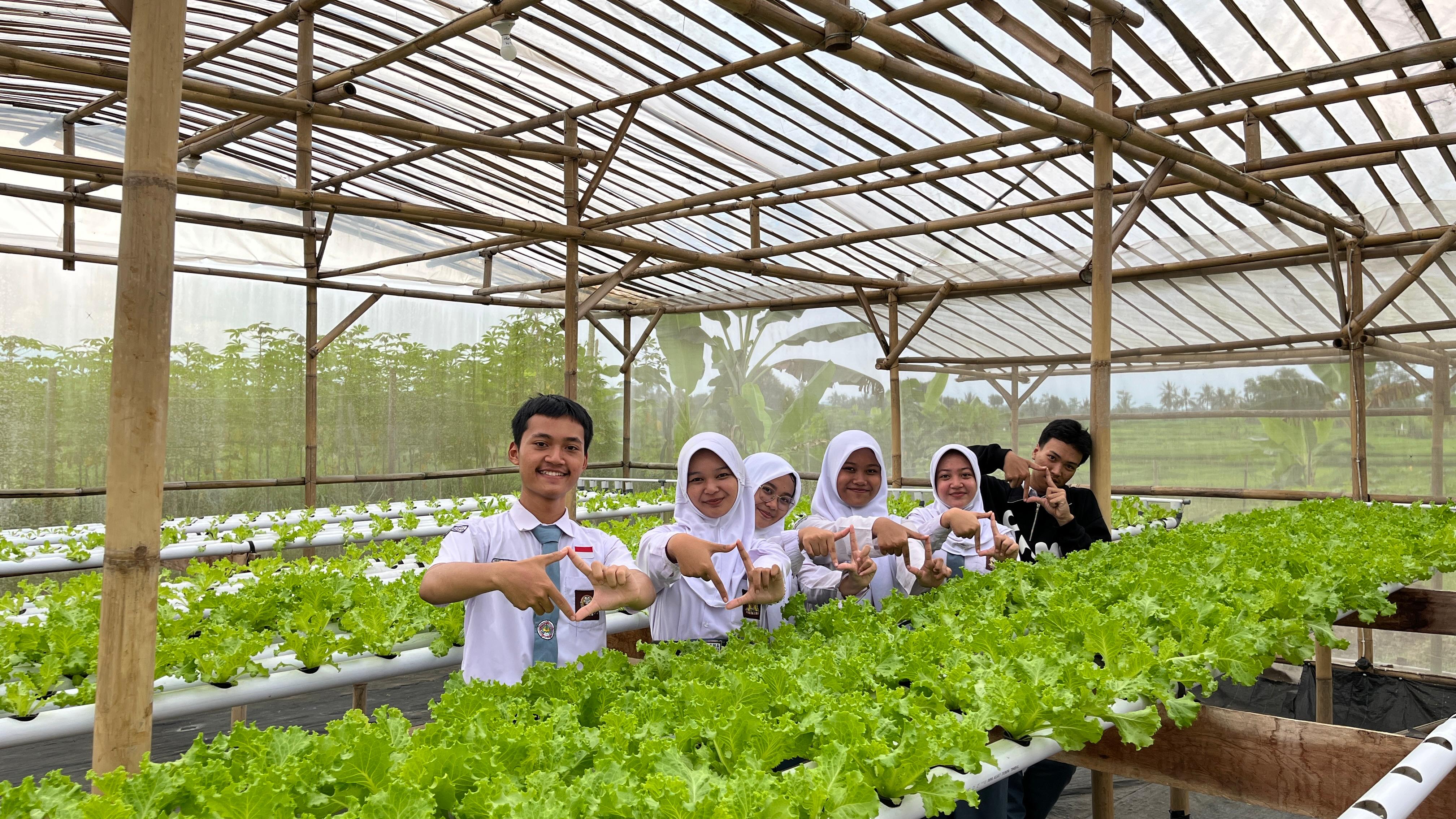 Lima siswa SMA berseragam putih di antara talang selada