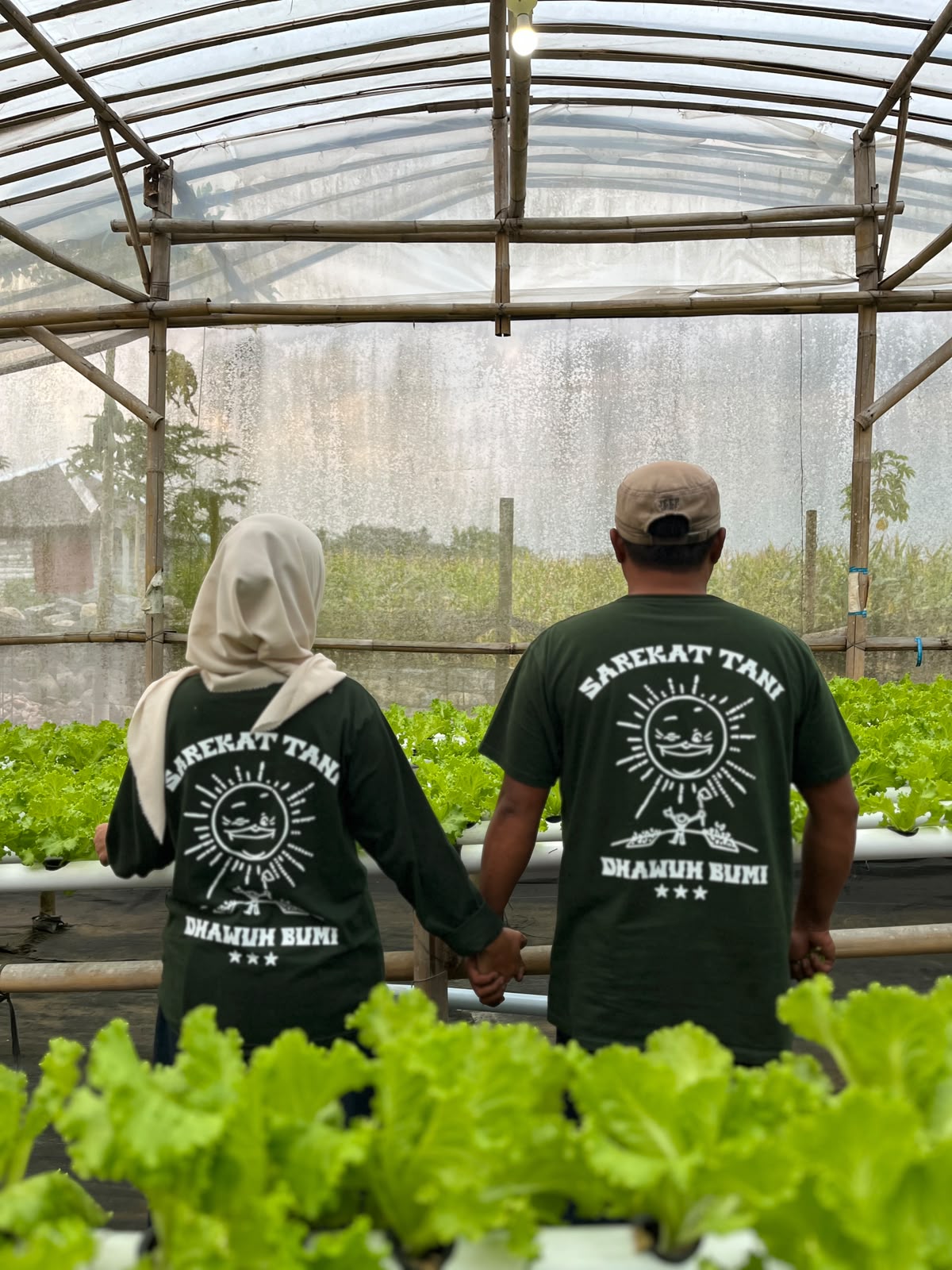 Dua anggota tim Dhawuh Bumi berkaus Sarekat Tani memandang hamparan selada di dalam greenhouse